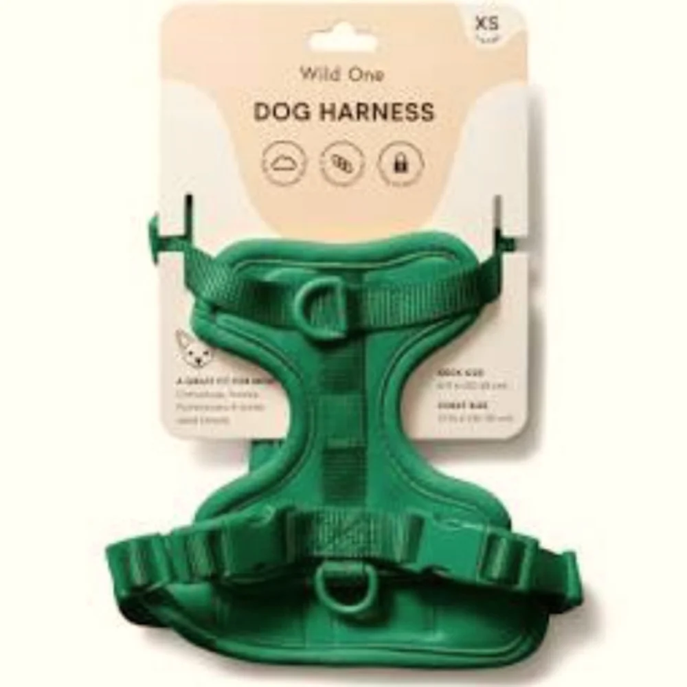 WILD ONE HARNESS